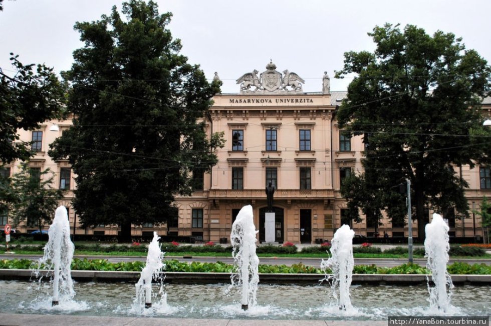 ������� �������� ������������ ��������� ������