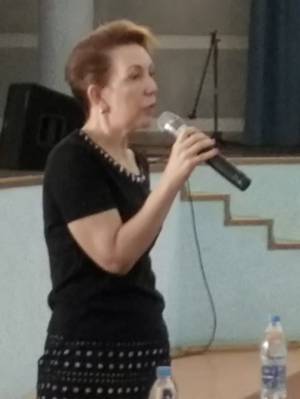 The International Summer Linguistic School continues its work at Leo Tolstoy IPIC