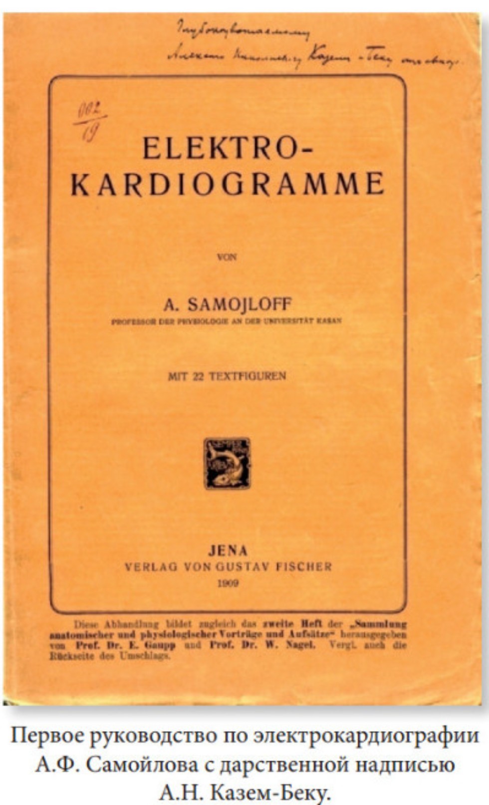 ����������� - ��������������� � ����������� ����������������� ������. ���������� ������� �����������