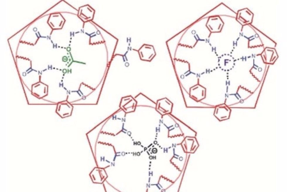 Chasing the Elusive Dihydrogen Phosphate ,IC, organic chemistry, supramolecular chemistry