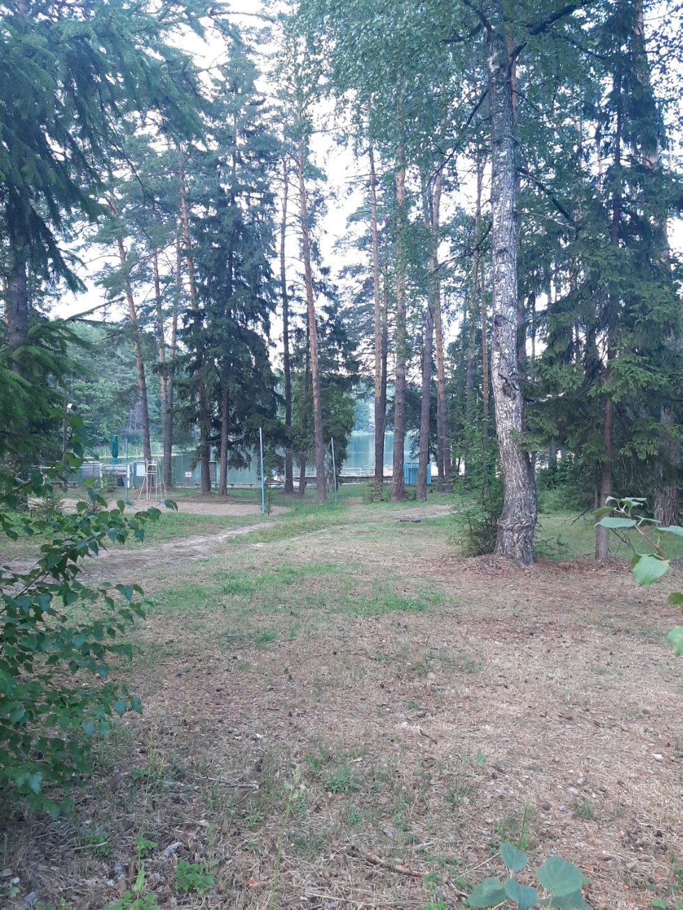 ���� ������ '������'