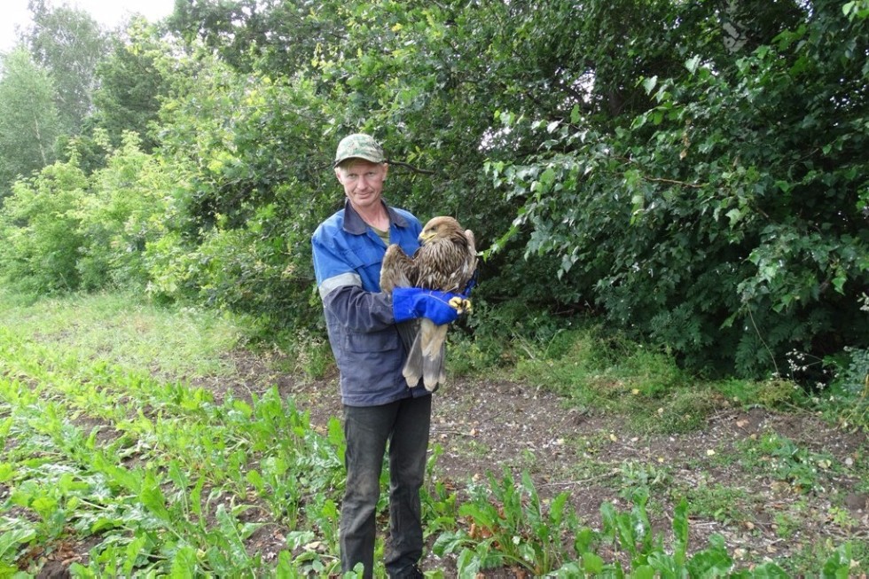 Scientist of Yelabuga Institute of KFU investigates birds from Tatarstan to Dagestan