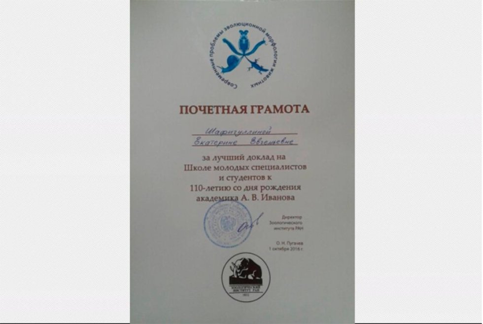 ���������� ��������� �������� � ������� ������������ ���������� �������� ���� ������������ �� ������������� ����������� � ������������� ��������� ��� � �����-����������