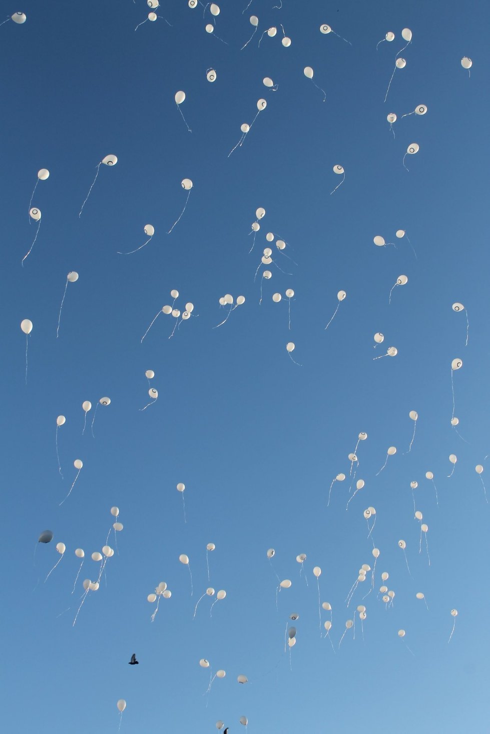 ��������� ���� �� �����