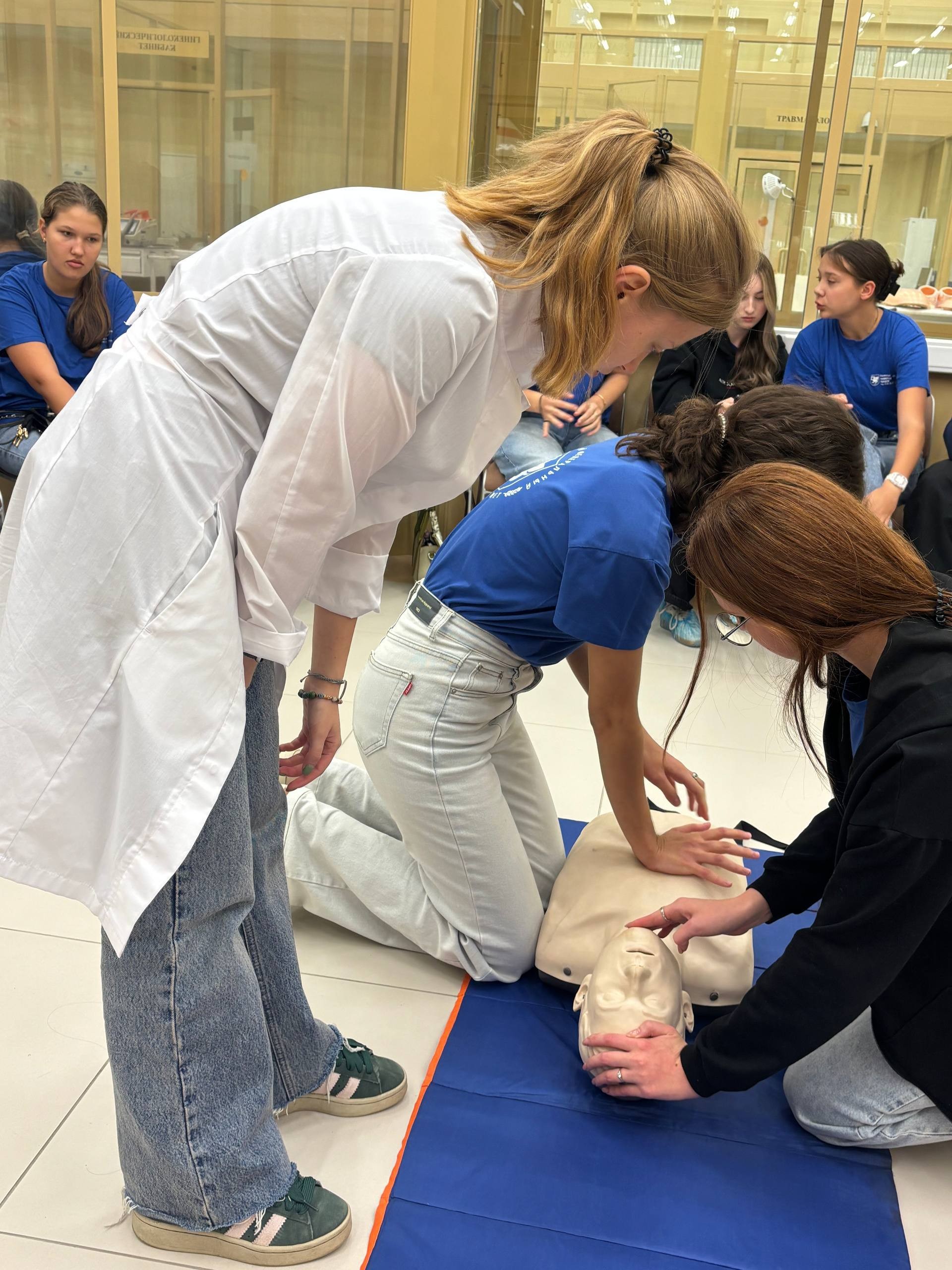     -     ,2025-2026  , ,  ,  ,  ,  ,  