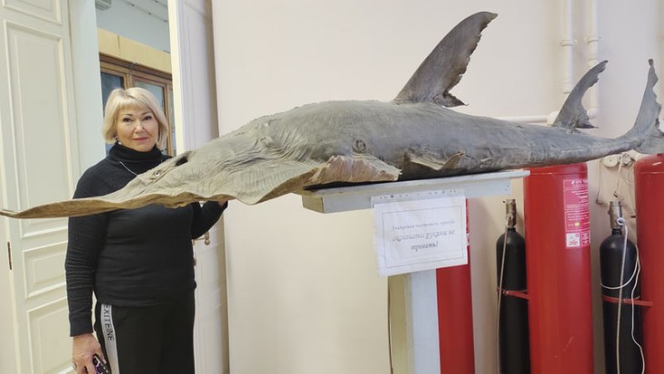 ����� ������������� �������� �������� ���������� ������������