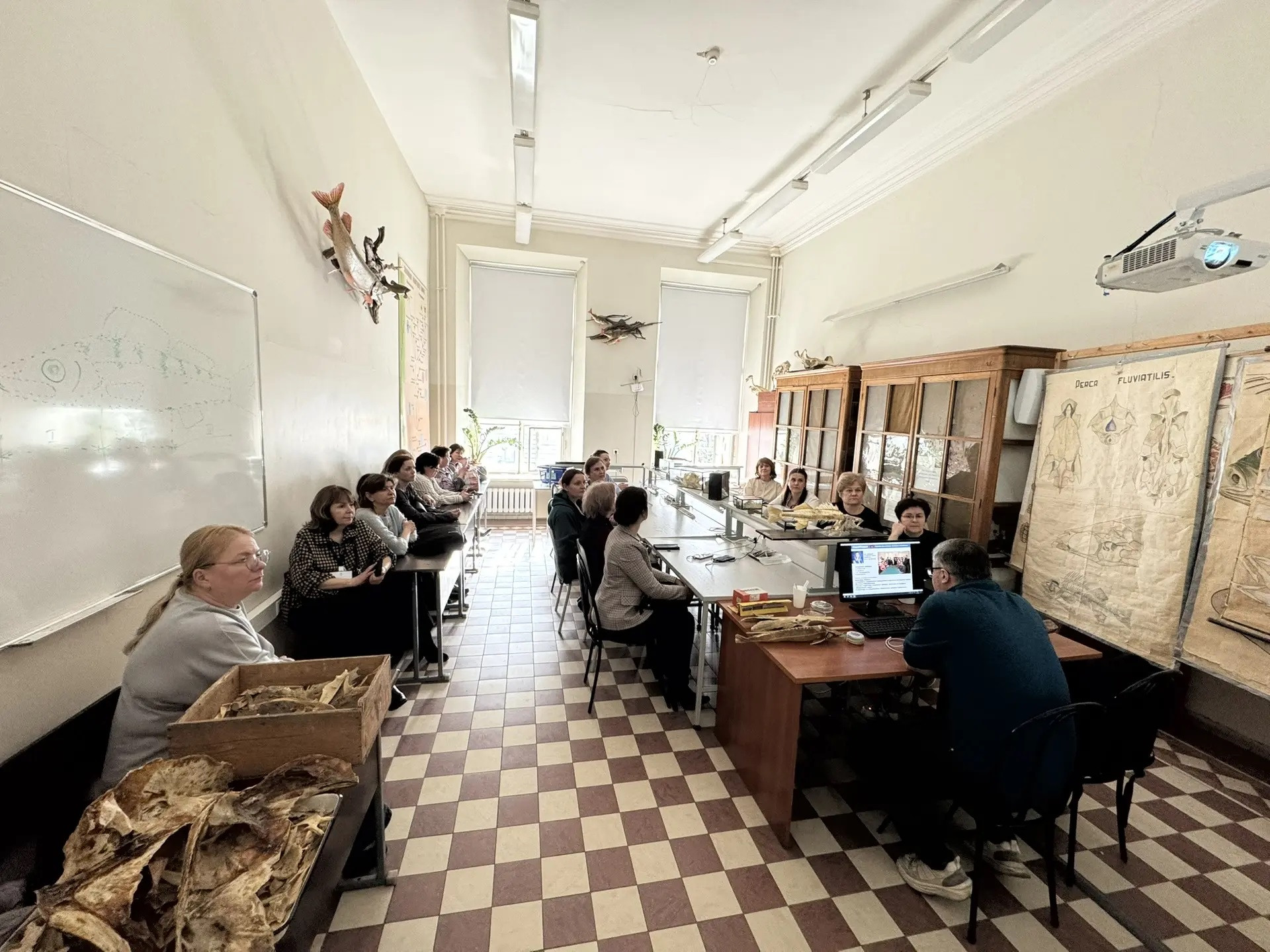 ������������� ������ ����� �������� ��� ������� ��������������� ���������� ��� �������� ,������-���������� ������, ����������, �����