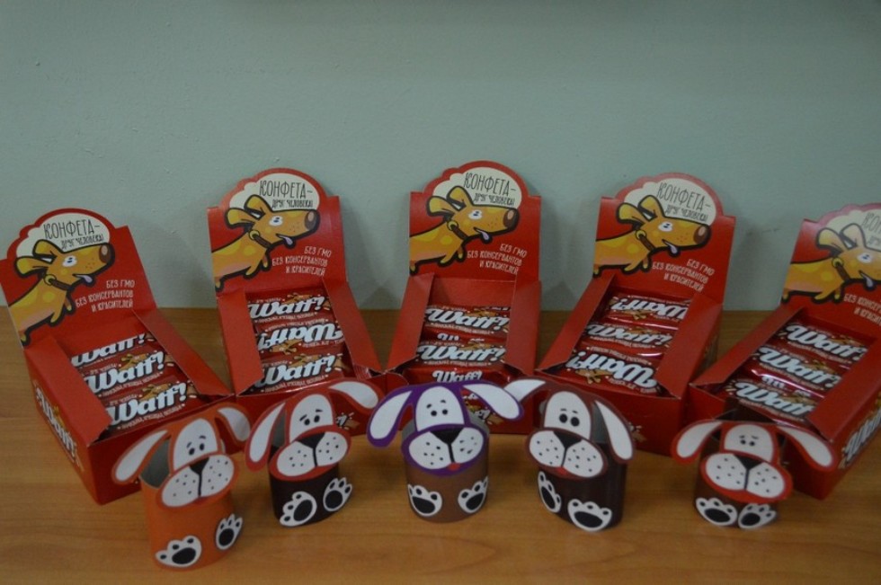 Мастер-класс от студентов для ребят 'Астры' Мастер-класс от студентов для ребят 'Астры'