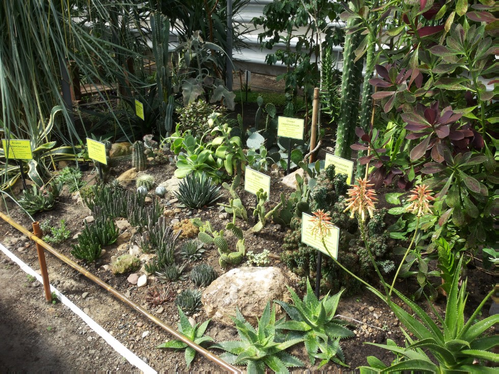 ���������� ��������