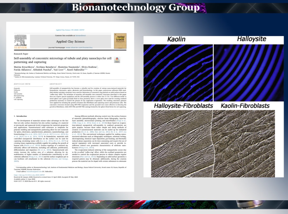 Members of the Group have developed the method of formation a concentric surface based on nanoclay ,Halloysite, Kaolin, Self-assembly, Micropatterning, P. caudatum, Cell capturing