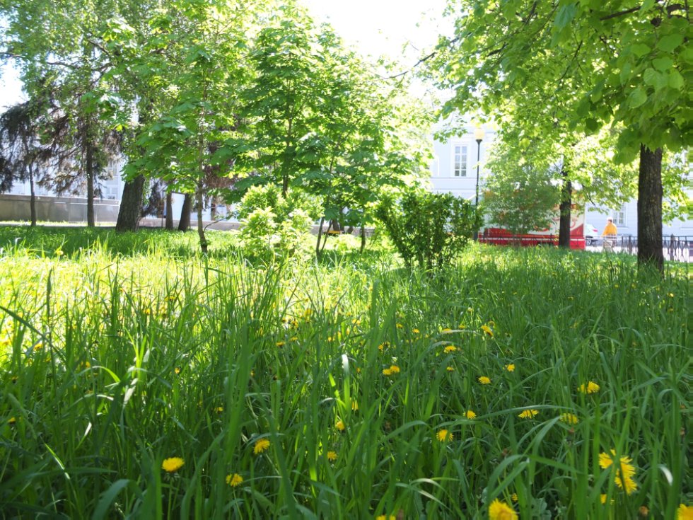 ������ ����. ���������� � �� �����������