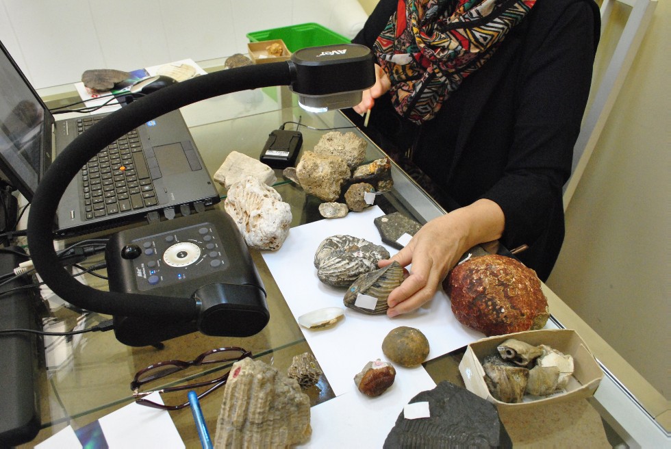 ������ ������ �� �������� �� �������������� ������