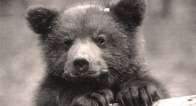 11 ������ - ������������� ���� ������������ � ������������ ������