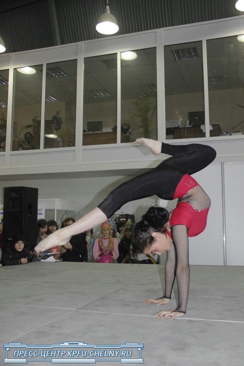 ������������������� �������� ��� ��������� ������� � ��������� '��� �������������-2013'