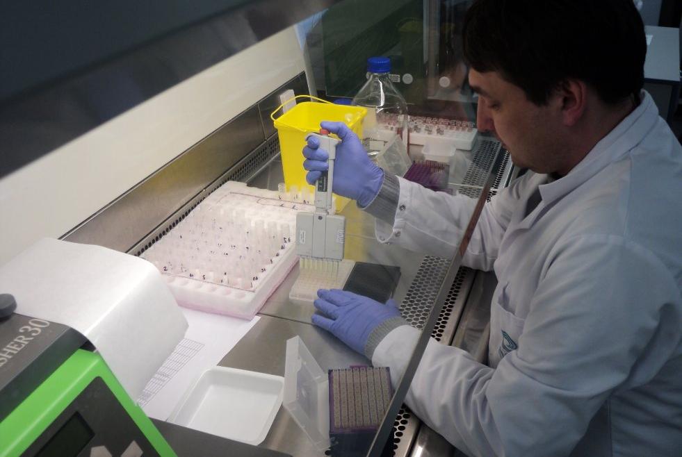 ������������ ��������� ����� �� ���������������� Mycobacterium bovis