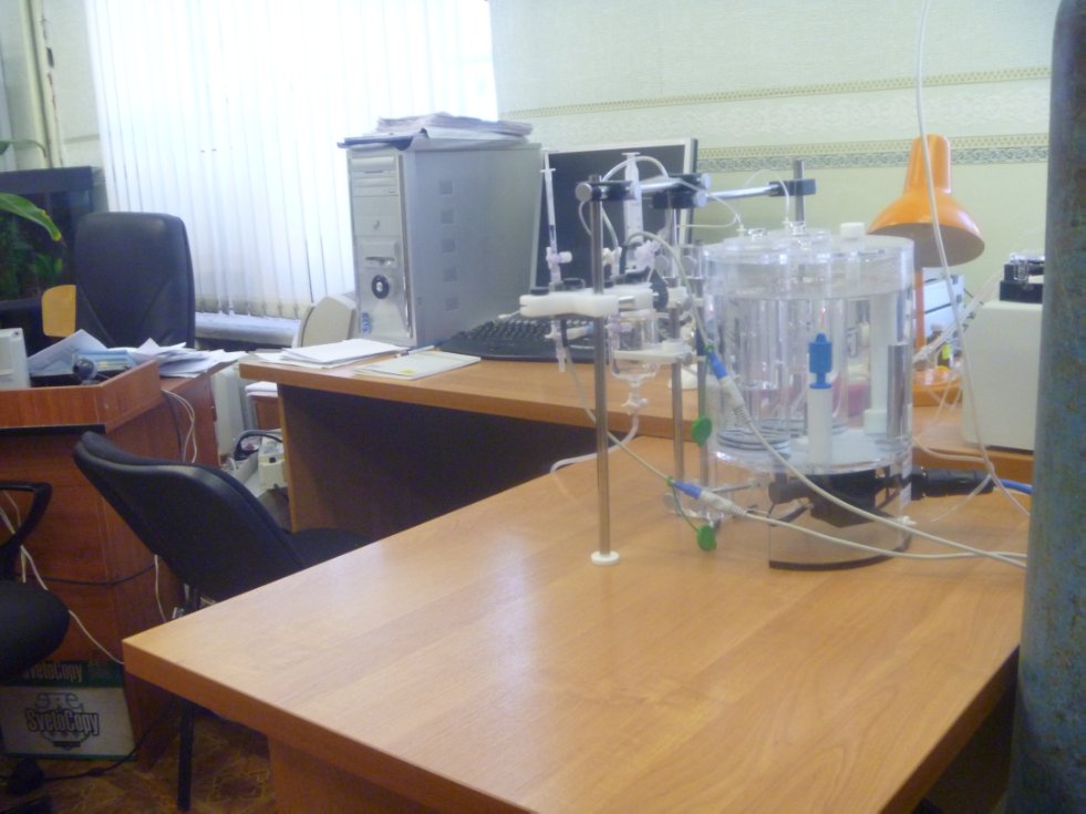 ������� ������������