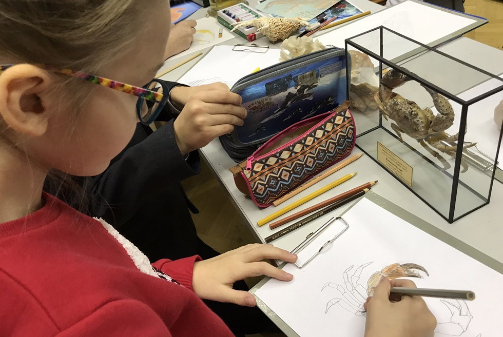 Финал уходящего года зоомузей университета отметил очередным мероприятием Финал уходящего года зоомузей университета отметил очередным мероприятием