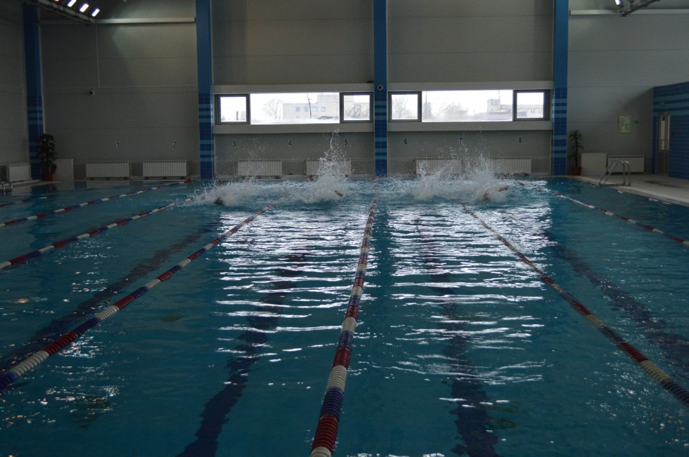 � �������� ���� - �������� ���