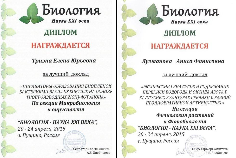 Отчеты НИР Отчеты НИР