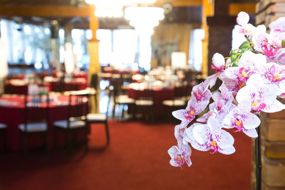 ���������� ���������. ������������� ���� ��������������� ��������� '���������. ��������. ����������' ��� ������������� ������� �������������� ������ �� � ���� ������������� �����������, ����������� �� ���� ���������� ����� ���������� '��������' � �����