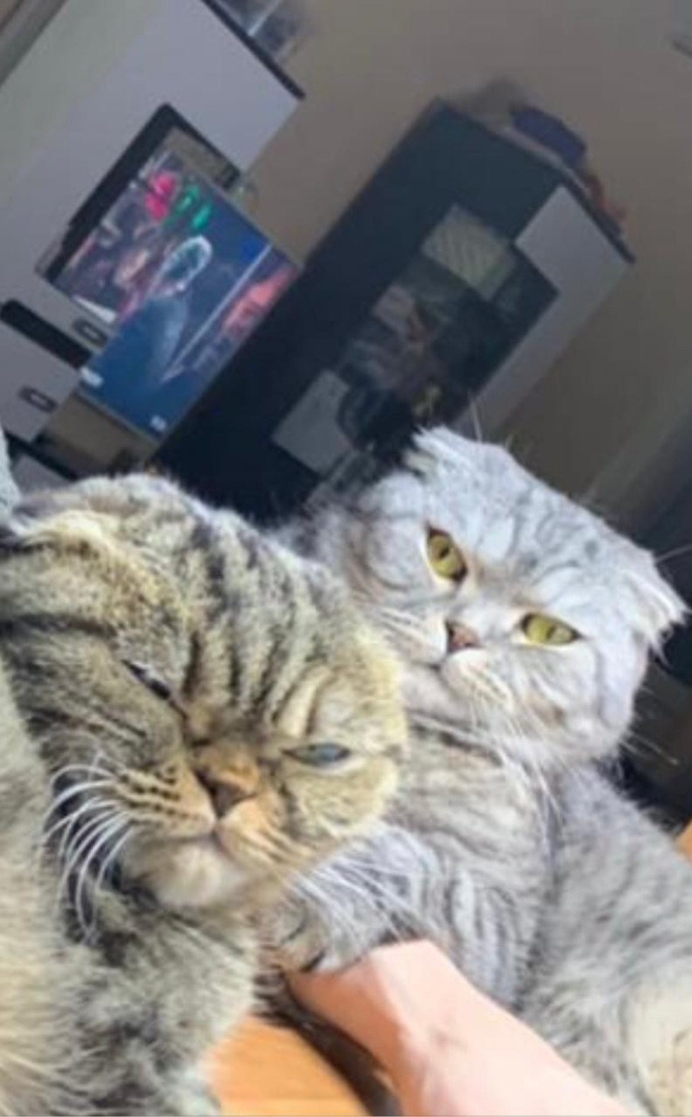 Юлия Журавлева: 'Химия ? это наука, умеющая творить чудеса' Юлия Журавлева: 'Химия ? это наука, умеющая творить чудеса'