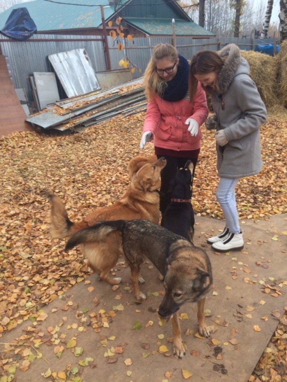 С заботой о братьях наших меньших С заботой о братьях наших меньших