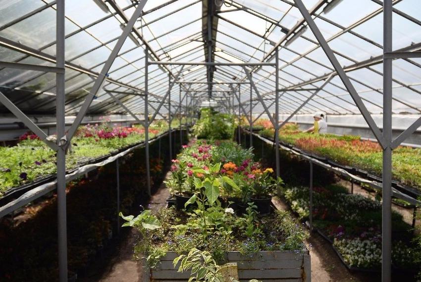 Botanical Garden is brought back to life