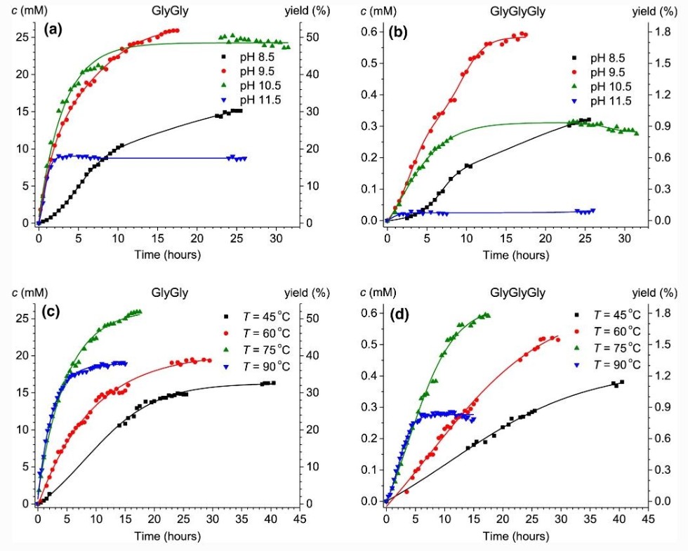 Synthesis of prebiotic peptides gives clues to the origin of life on Earth ,IC, peptide, prebiotic