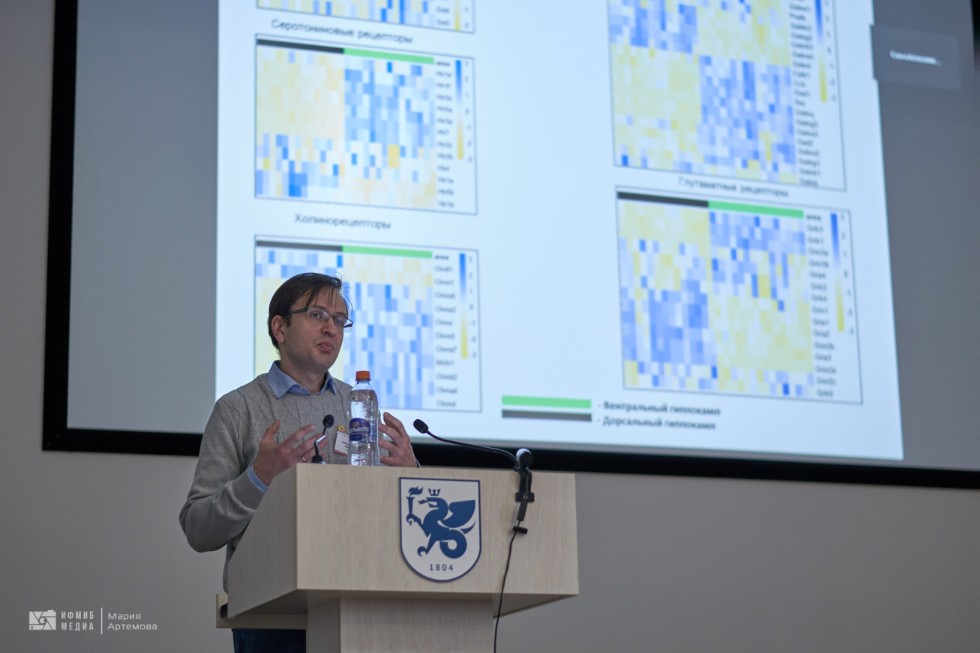 Конференция Конференция