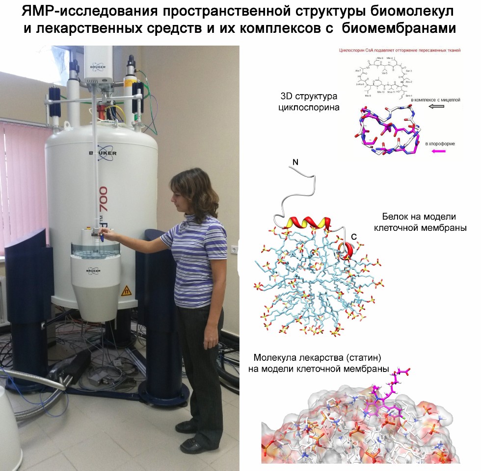 Научные исследования Научные исследования