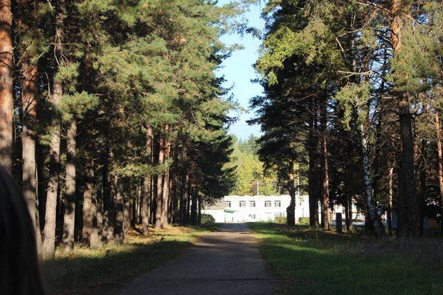 C���� '������������' � ������ '������'