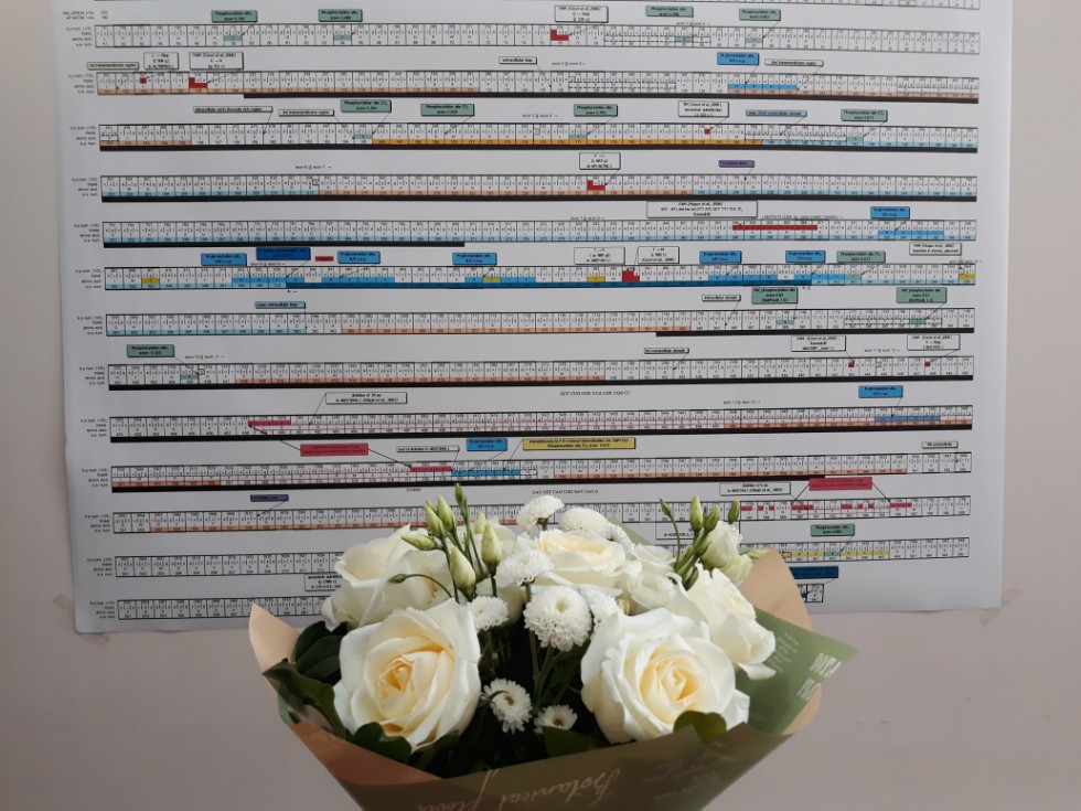 ������ ��� ��������� ������� ��������, ������������� � ������������ ,���, ������������ �����������, ������