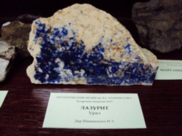 ������������� ����� ��������� ���������� � ��������� �������� �15