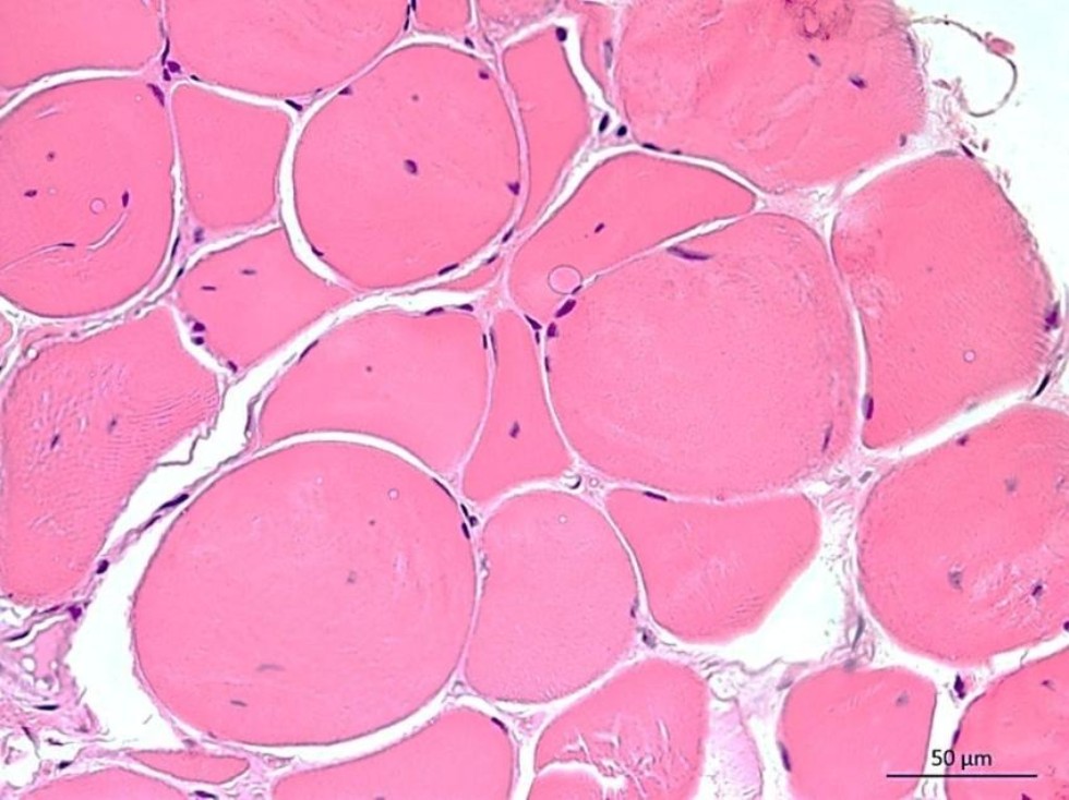 '�����-�������� �����������: �������� ���������������, �������������, ���������� �������� � �����-��������� �������' (���. �.�.�., ���. �.�. ����, �.�.�., ����. �.�. ��������, �.�.�., ����. �.�. ������)