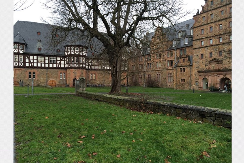 ������� ���������� �� ����������� ���������� � ����������� ����������������� ������������� ��� ������������ ��. ������-������ (������, ��������)