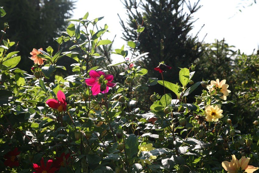 ��������� ������������� �����