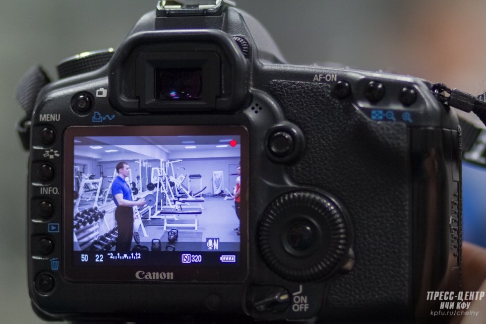 �������� ����