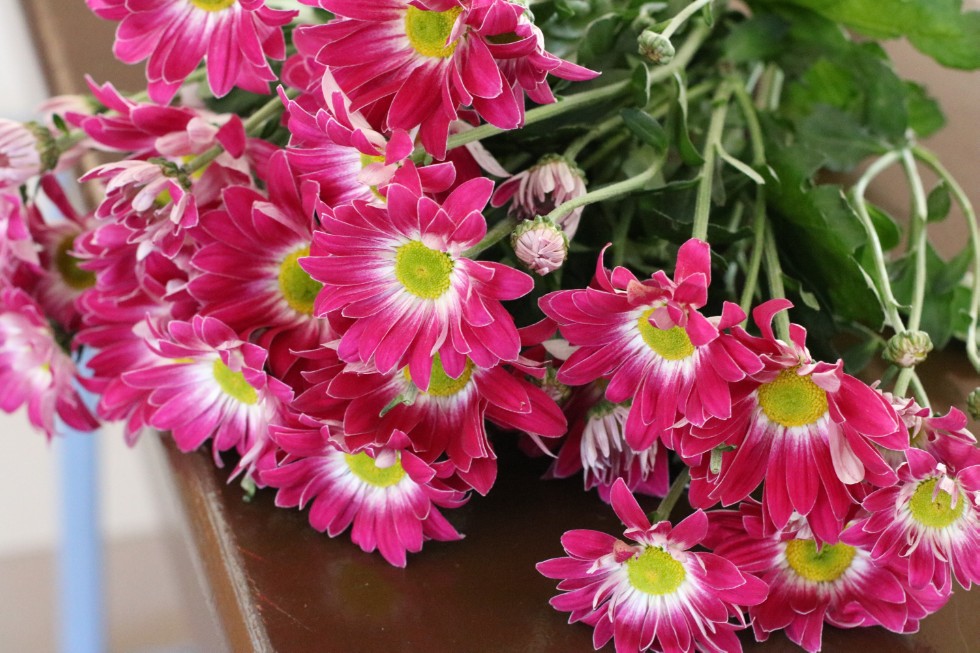 ��������� 1607 ������� �������� ������� ��� ��������� ��� ������������ ������� ������������