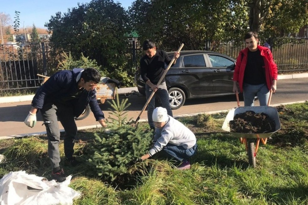 �������� ��������� ���� �� ���������� '���������������' �����