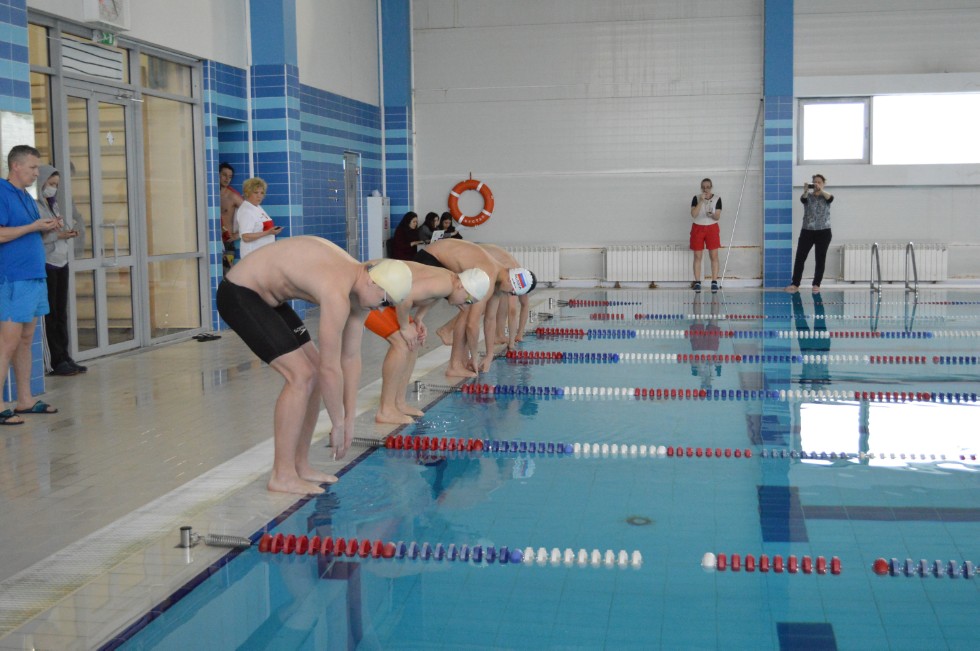 � �������� ���� - �������� ���