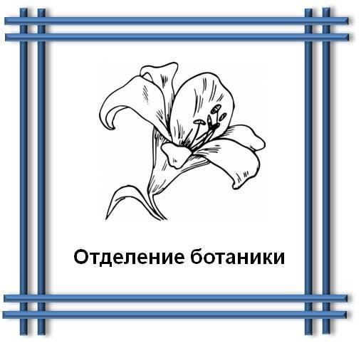 ��������� �������