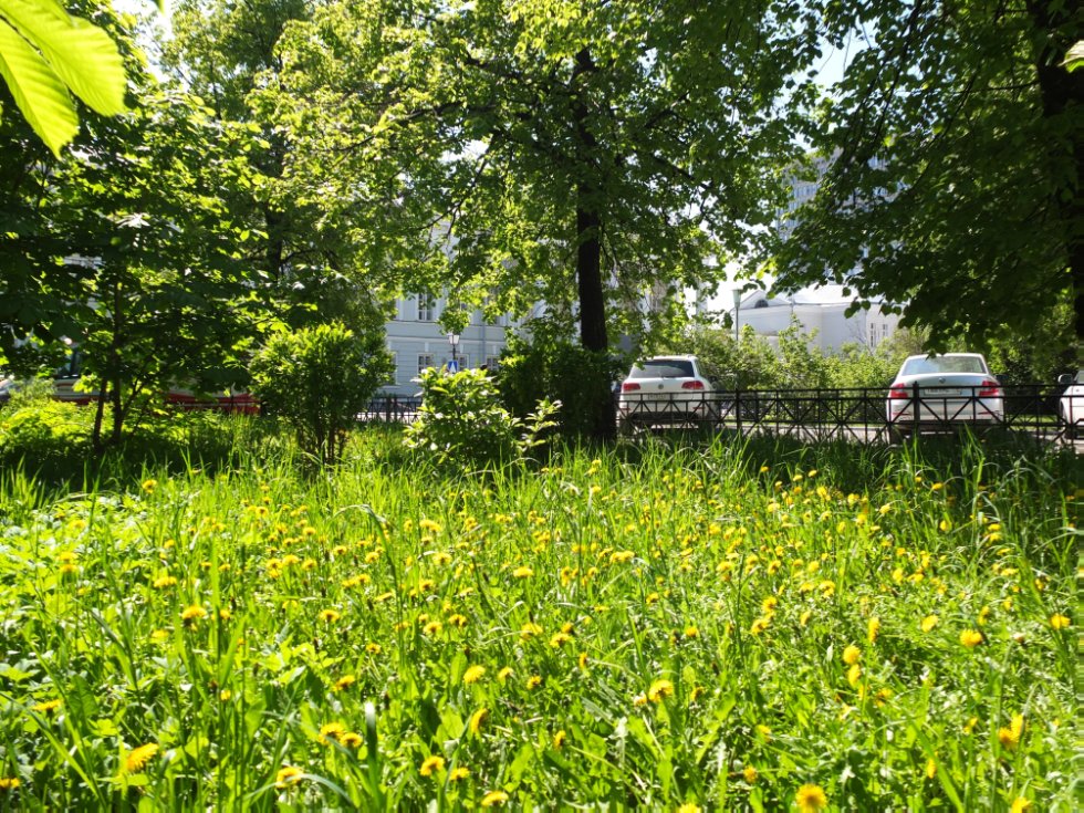 ������ ����. ���������� � �� �����������