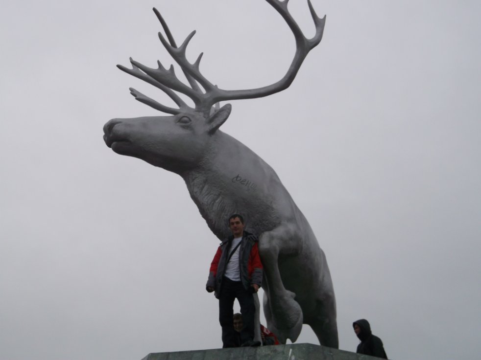 ��� ���������