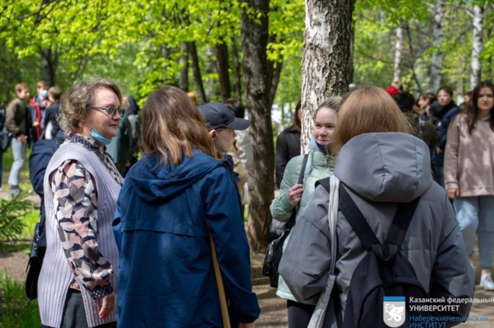 �������������  ����������