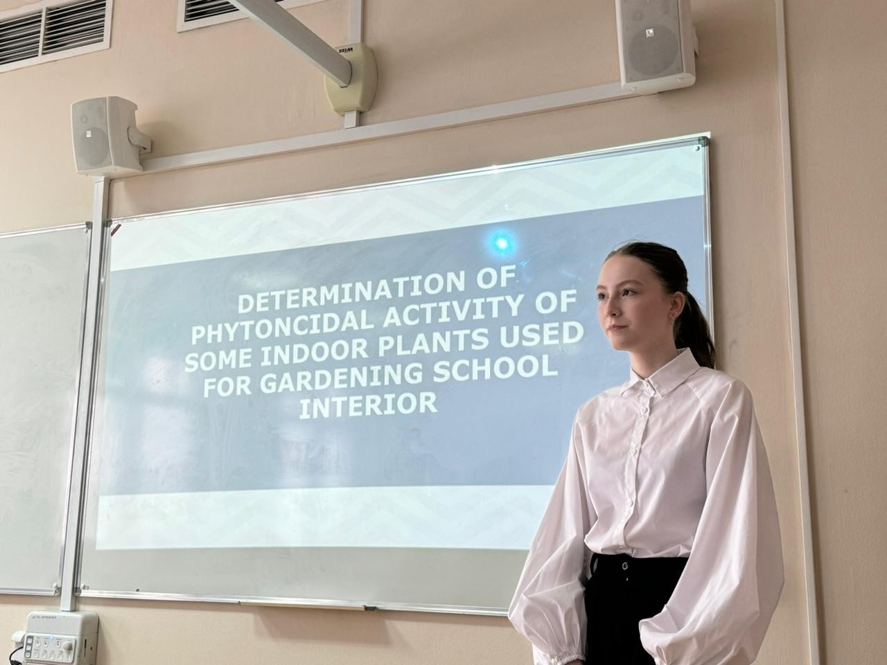 ���������� ���� - ���� � ������ � �����