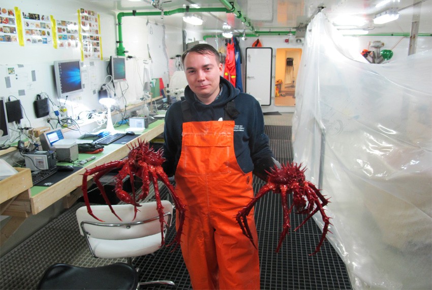 Алексей Голиков в судовой лаборатории за сбором научного материала Новый вид арктического осьминогаоткрыт зоологами КФУ