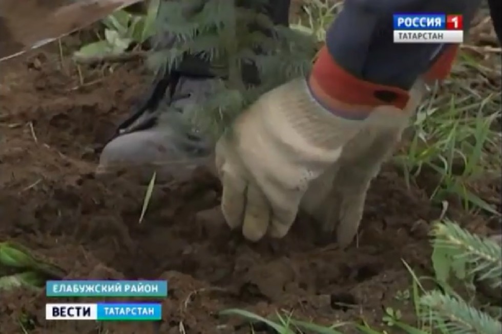 ����������� '������' �� ��������-������ 2018 �.