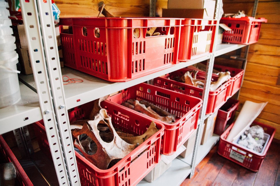 ��������