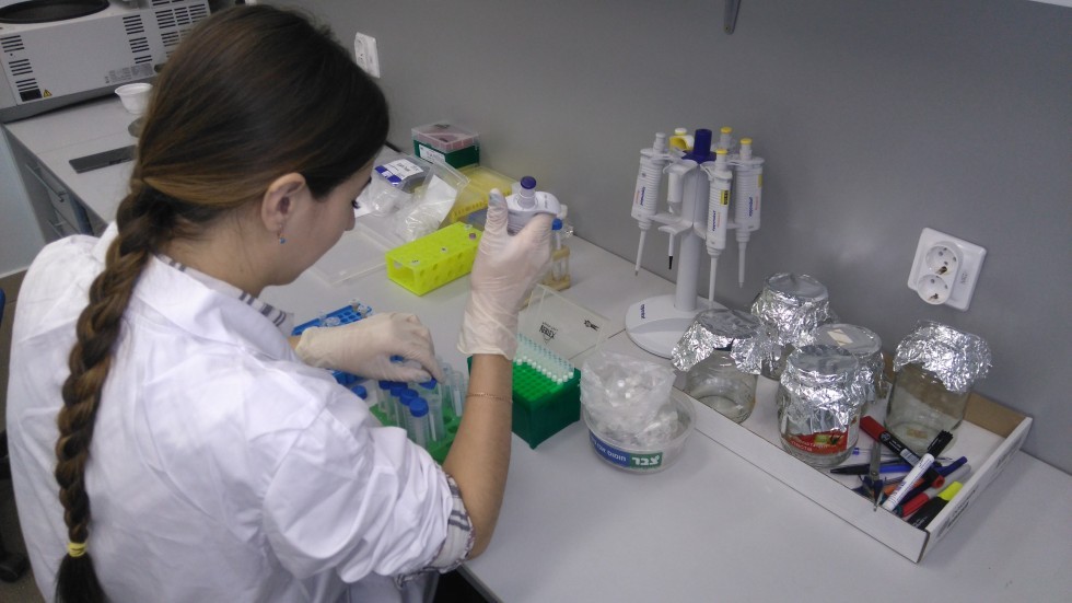 ������-����������������� ������