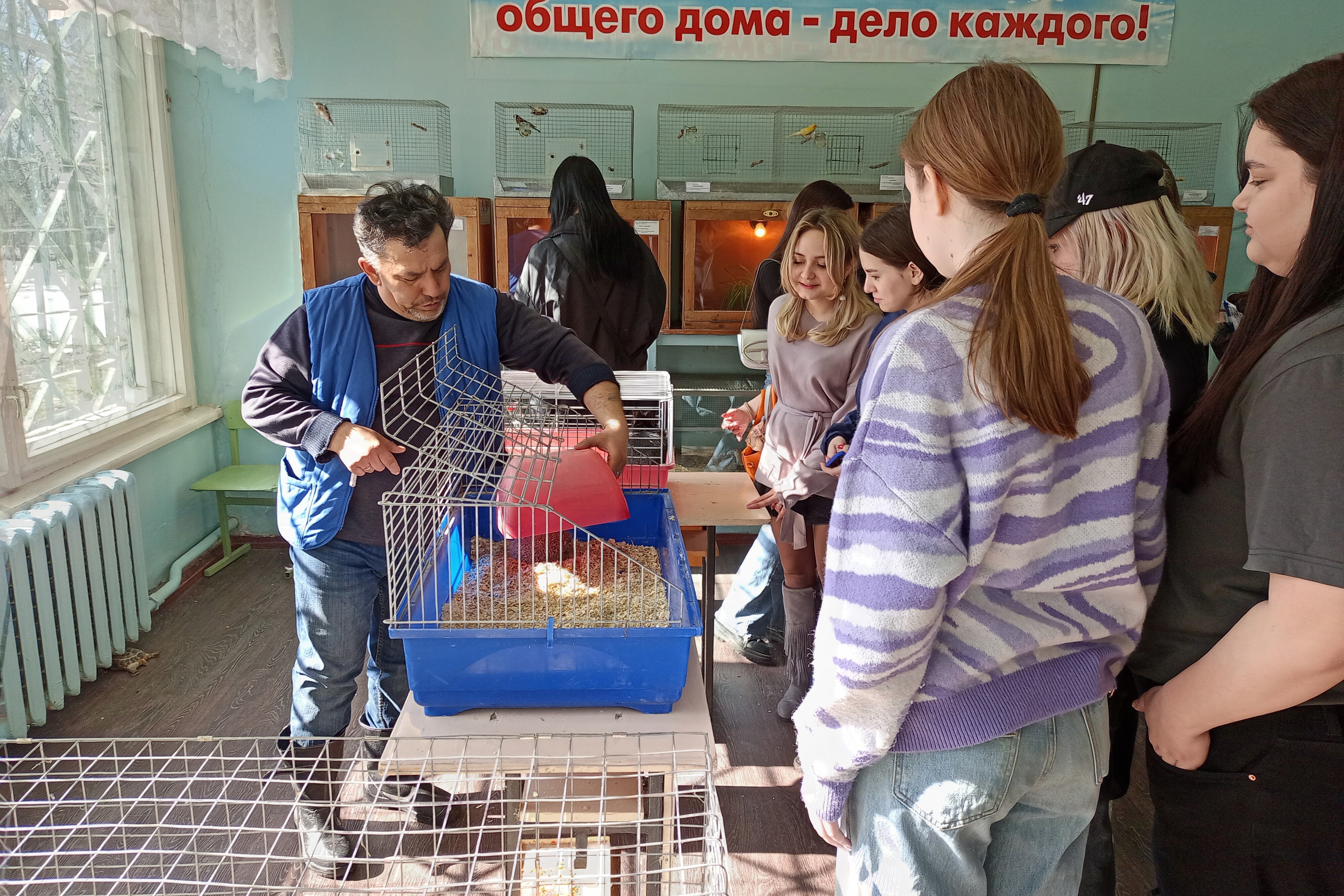 �������� ��� �������� �������-������������� �����